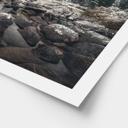 Póster Bosque invernal junto al lago - Rostovskiy