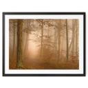 Póster Niebla y luz en el bosque otoñal - Maier