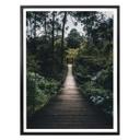 Póster camino forestal