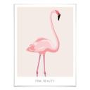 Plakat - Pink Beauty - Flamingo