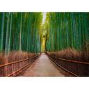 non-woven tapet BambooWalk fototapet Designwalls i grøn og brun 
