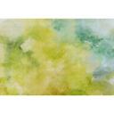 Livingwalls Fototapet Walls by Patel 2 watercolours 3