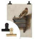 Plakat - Fabritius - Guldfinken