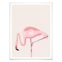 Póster Flamingo 02