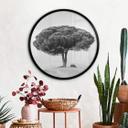 Póster Martin - Árbol en blanco y negro - Redondo