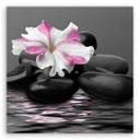 Canvasbillede, sten pink blomst Zen
