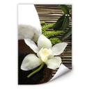 Poster autocollant - W - Wellness Orchidee