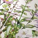 Azulejos Adhesivos Pradera de verano - lote de 12