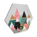 Hexagon Dibond Fredriksson - Bonte Bergen