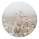 Tableau sur alu-Dibond Annie - Fleurs de glace - Rond