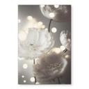 Fototapet Hvide blomster i et hav af lys - Treechild – print på aluminium (Alu-Dibond)