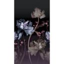 Vanda digitalt tapet i 1,5 m x 2,7 m Fashion for Walls 4 af Guido Maria Kretschmer