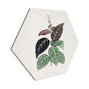 Hexagon Dibond Illustration af blade - Bignonia Argyro Violascea