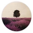 Cuadro de madera campos de lavanda purpura al atardecer - Cevik - Redondo