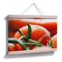 Poster - Fresh Tomato