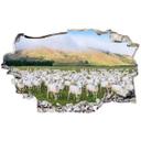 3D Wallsticker Colombo - Fåreflok i New Zealand