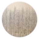 Cuadro de madera bosque de abedules en invierno - EMELIEmaria - Redondo
