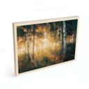 Cuadro de madera sol en un bosque de abedules - Kado