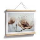 Póster Flores Flor Seca Beige Naturaleza Poesía - Treechild