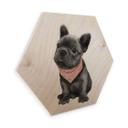 Hexagon - Berkenfineer Graves - Frenchie
