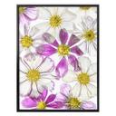 Plakat - Disher - Keeping Summer