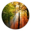 Tableau en alu Dibond - Automne doré - Rond