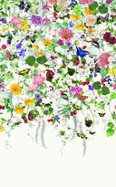 Fototapet med motiv Farverig blomstereng med sommerfugle og fugle 3,4 x 2,12 m