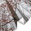Papel pintado Copas de árboles con hojas rojas - Papel pintado Bosque redondo - Coman - Papel pintad