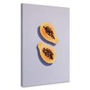 Lienzo 1X Estudio - Papaya