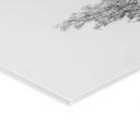 Akrylbillede Minimalistisk træ i et fredeligt landskab - Flour