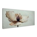 Cuadro Lienzo Delicada flor seca en beige | Arte floral boho - Treechild - Panorama