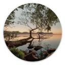 Cuadro de madera vista al lago - Redondo - Bodega