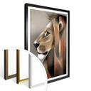 Plakat - Braun - Lion