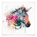 Plakat Heine - Rainbow Zebra