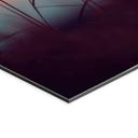 Billede Græsser i lyset af den glødende sol - Treechild – print på aluminium (Alu-Dibond)