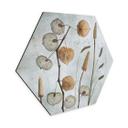 Hexagon Dibond Tørrede lanterneblomster - Disher
