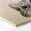 Hexagon berkenfineer - Graves - Sneaky Cat
