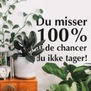 Wallsticker -  Du misser...