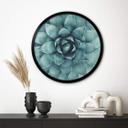 Plakat Agave 02