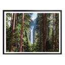 Plakat - Colombo - Waterfall forest