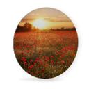 Tableau en Alu-Dibond Champ de coquelicots au coucher du soleil - Rond