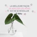 Sticker mural - La meilleure façon de rêver est de se réveiller (2 couleurs)