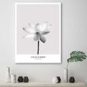Canvasbillede, Hvid lotusblomst