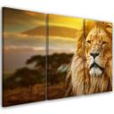 3 stykke lærredstryk, Lion Africa Savannah Landscape