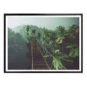 Plakat - Jungle Bridge