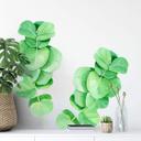 Muursticker XXL Eucalyptustak