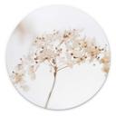 Tableau sur alu-Dibond rond 1X Studio - branche aux fleurs délicates