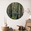 Cuadro de madera bosque de eucaliptos en Yarra Ranges - Colombo - Redondo
