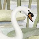Fotomural para habitación infantil - Dos cisnes en el estanque - Kikki Belle