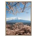 Póster Colombo - Monte Fuji en Japón